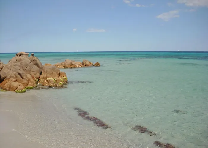 Apartment With Shared Pool