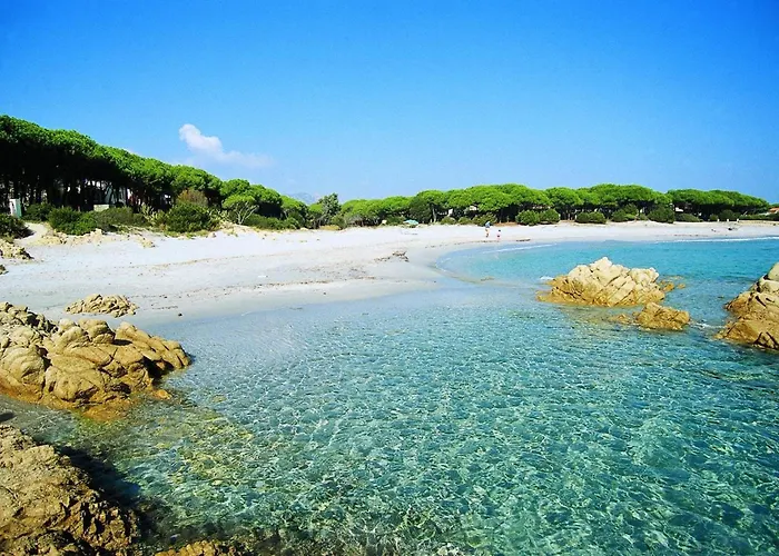 With Shared Pool * Cala Liberotto