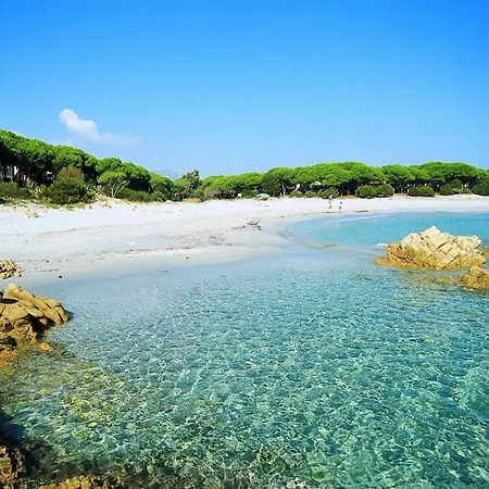 With Shared Pool * Cala Liberotto