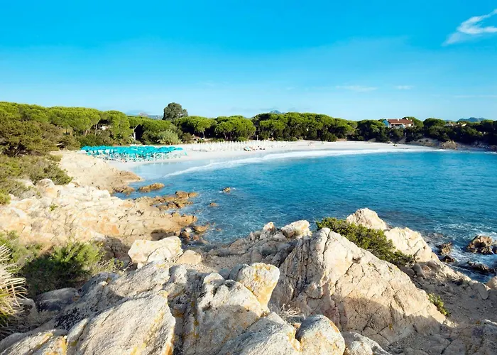 Apartament With Shared Pool